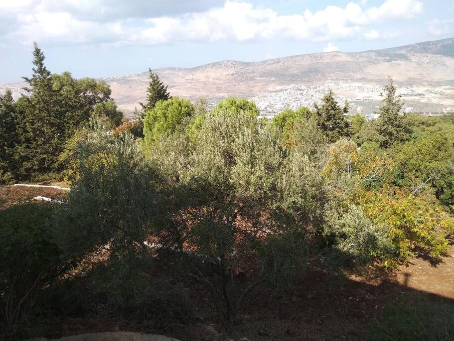 הבית ליד הבוסתן Mikhmannim Exteriér fotografie
